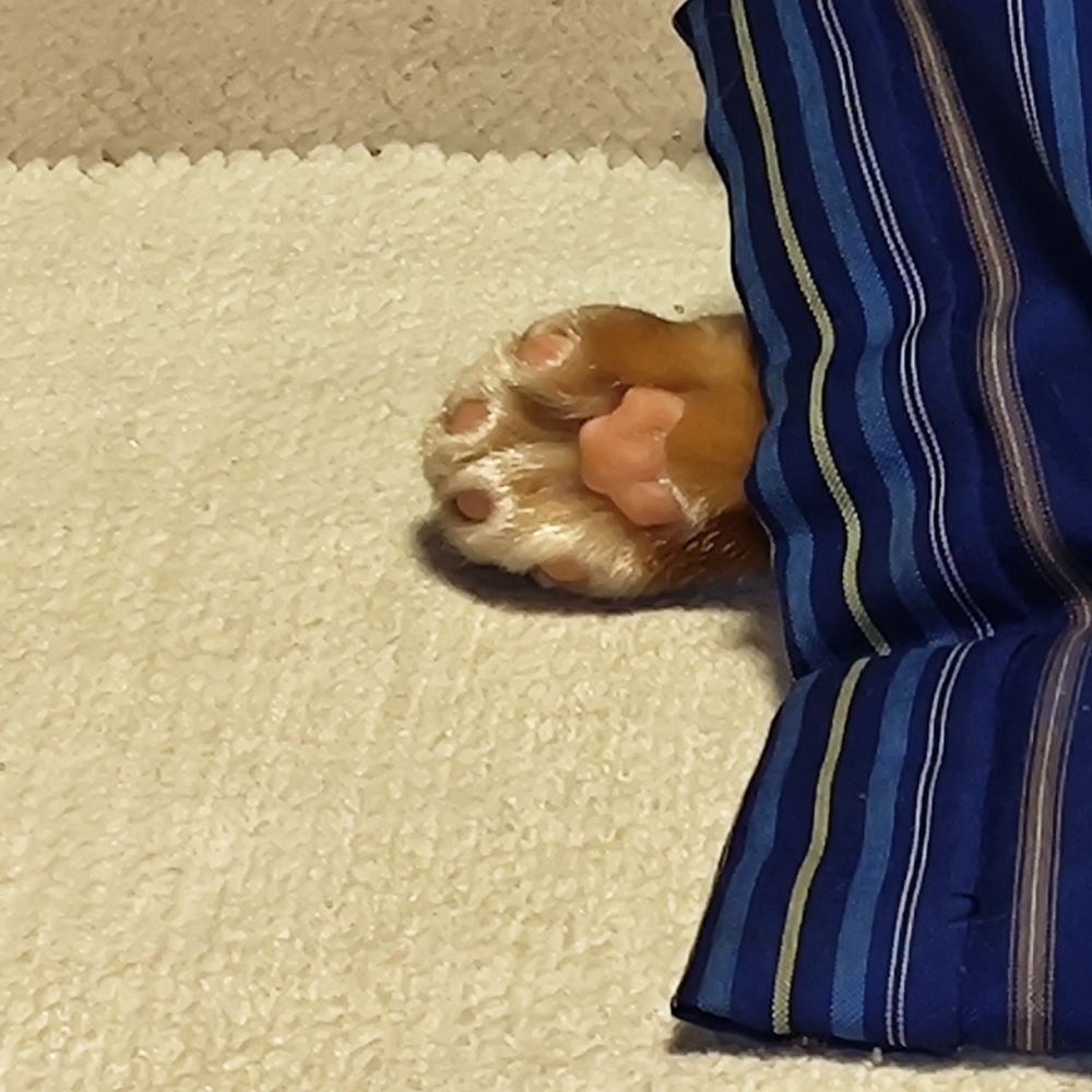 な🌟りっと