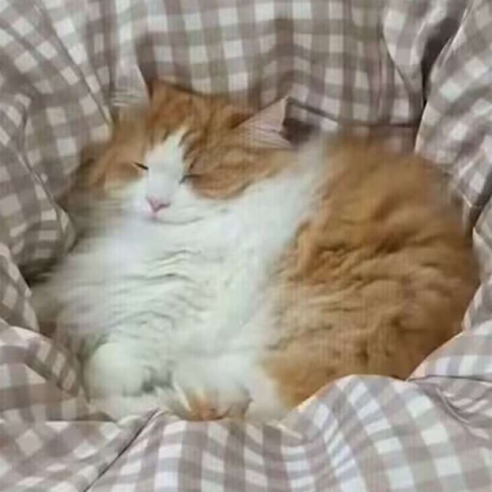 皆零
