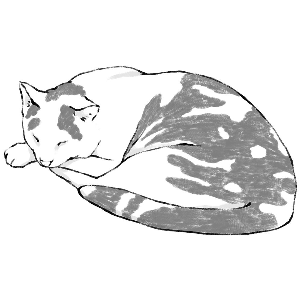 The Ugly Cat Studio