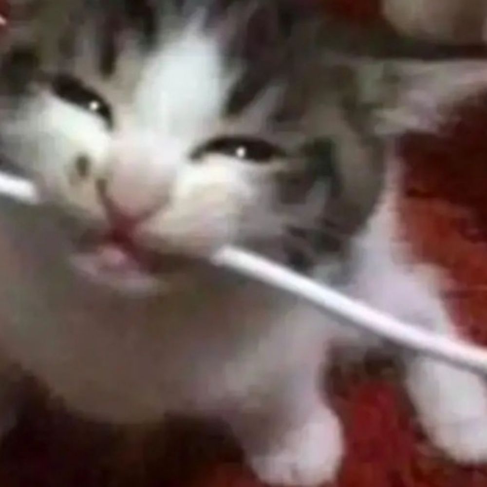 Ed