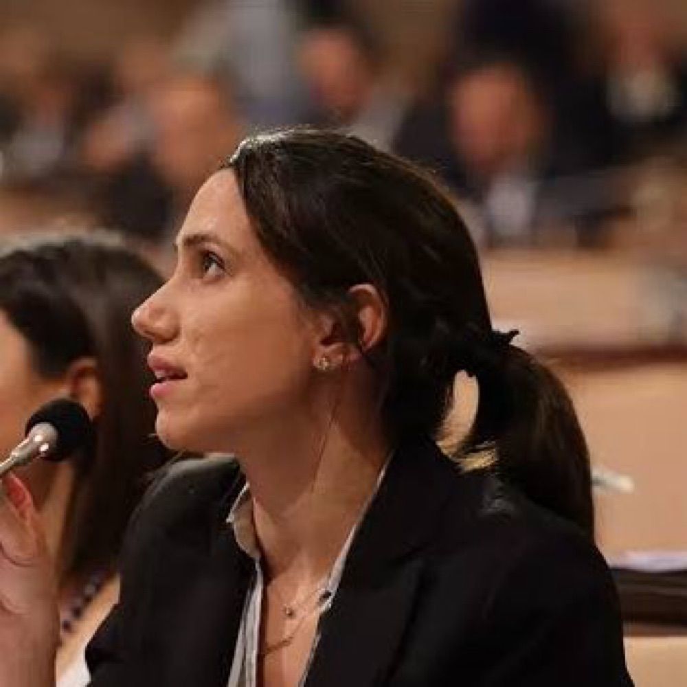 Melendiz Dalyan İzgi