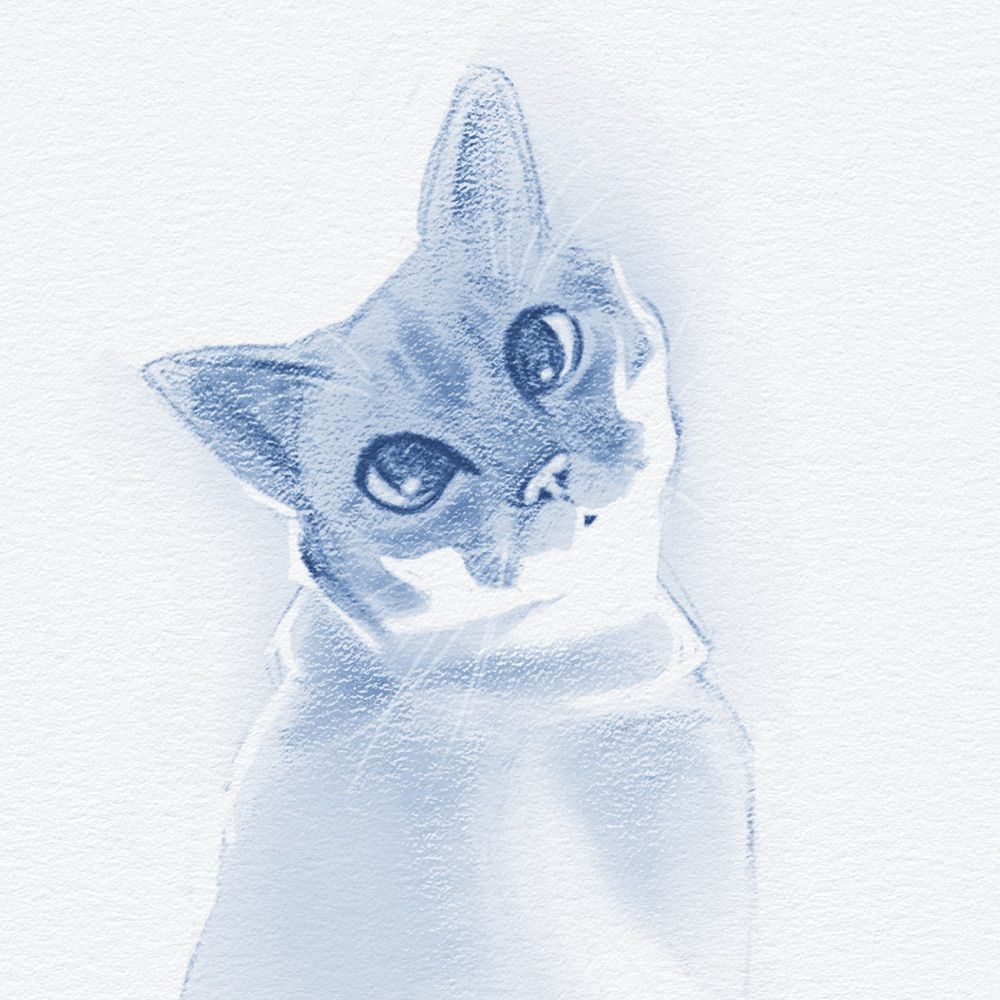 Mike Wink