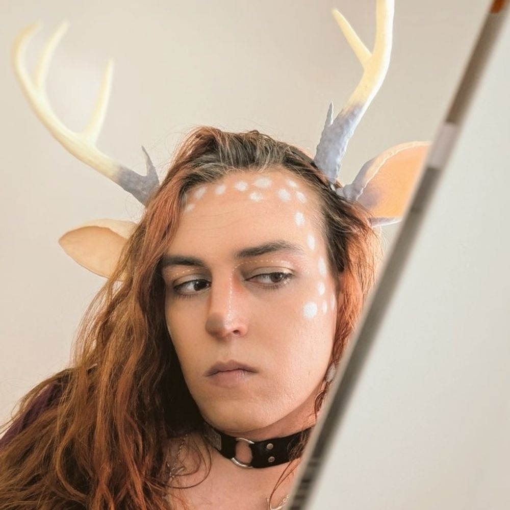 deeri