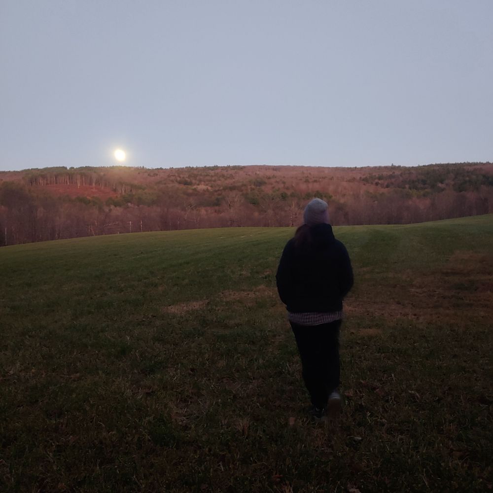 Lunarsky