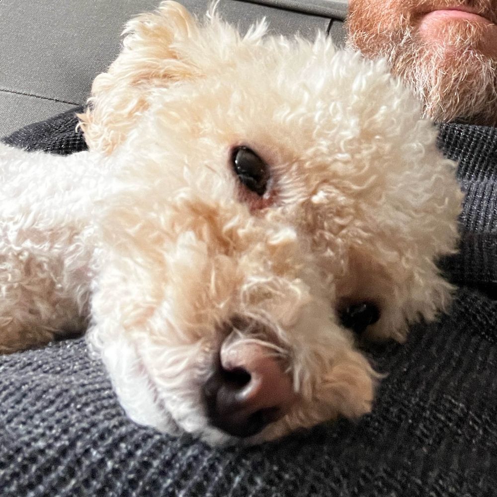 Tucker