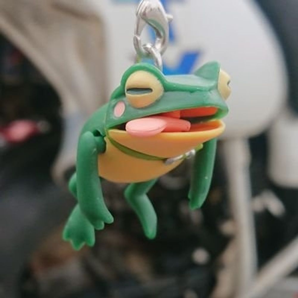 カエ留