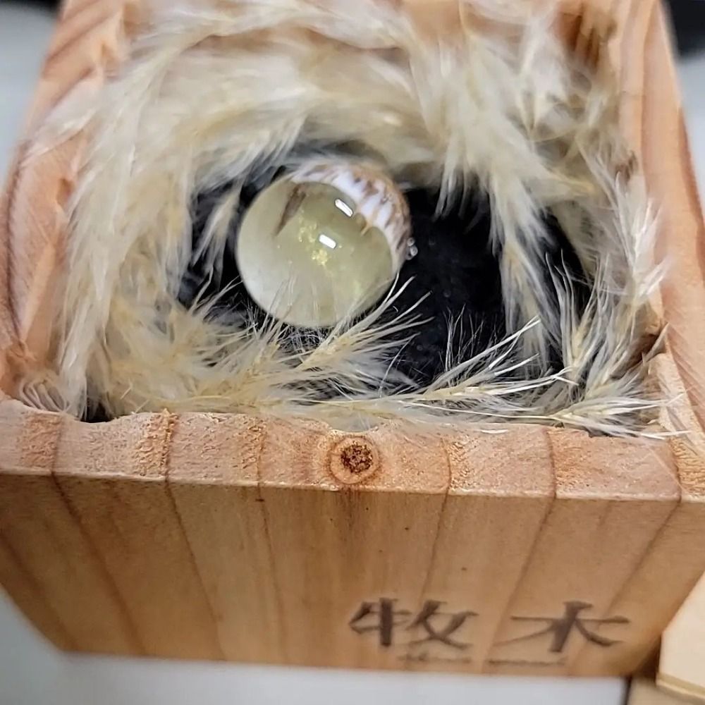 黑斑魚皮
