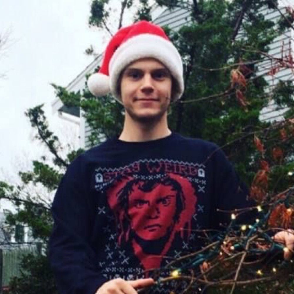 esposa do evan peters🎄