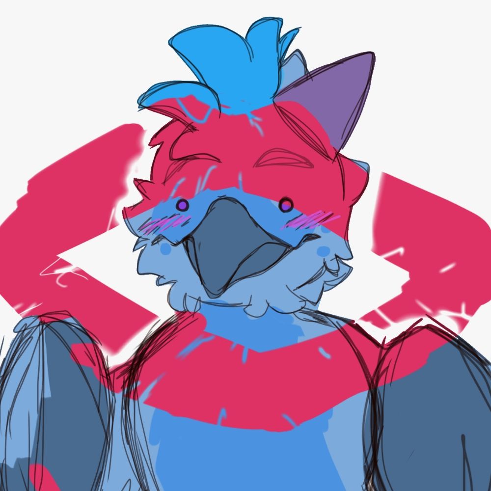 DonavanDaBirb