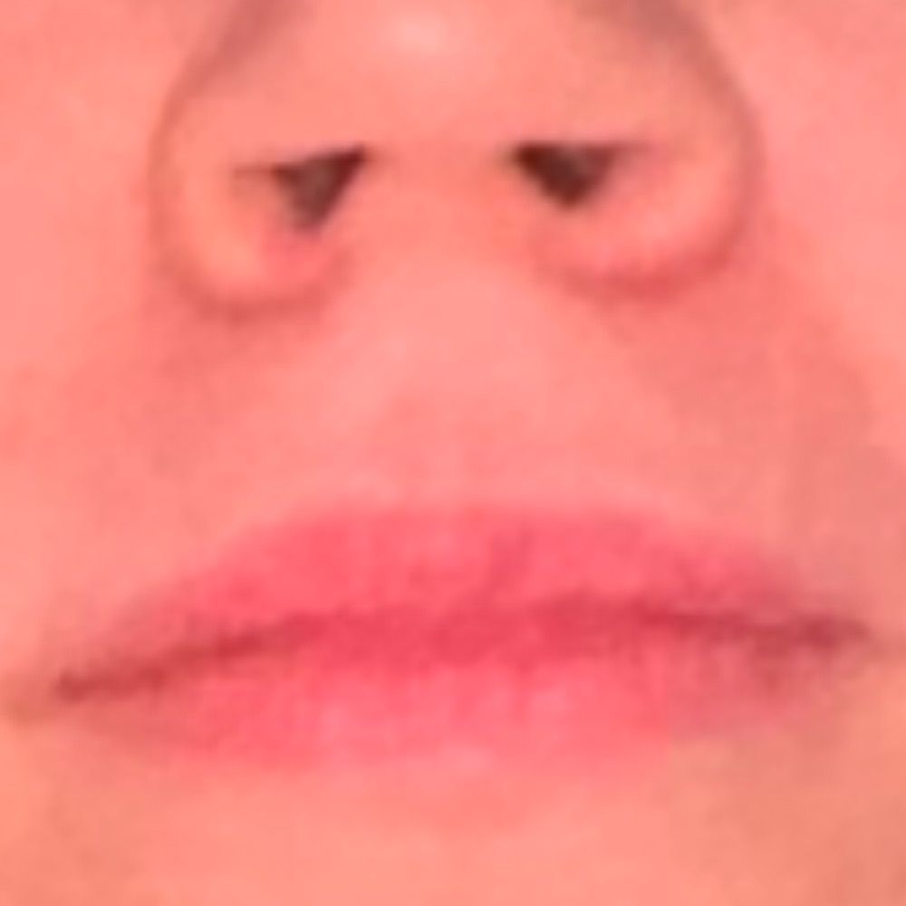 MegaMoob