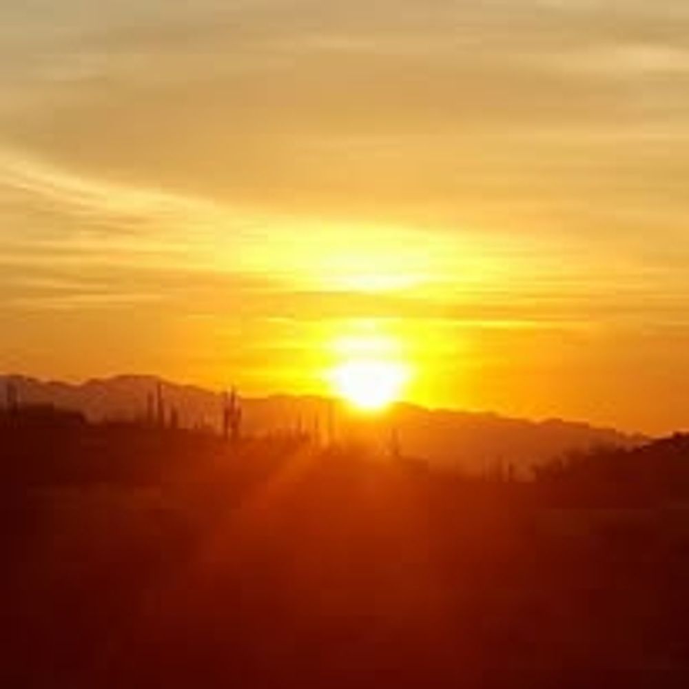 Wenxia2845587