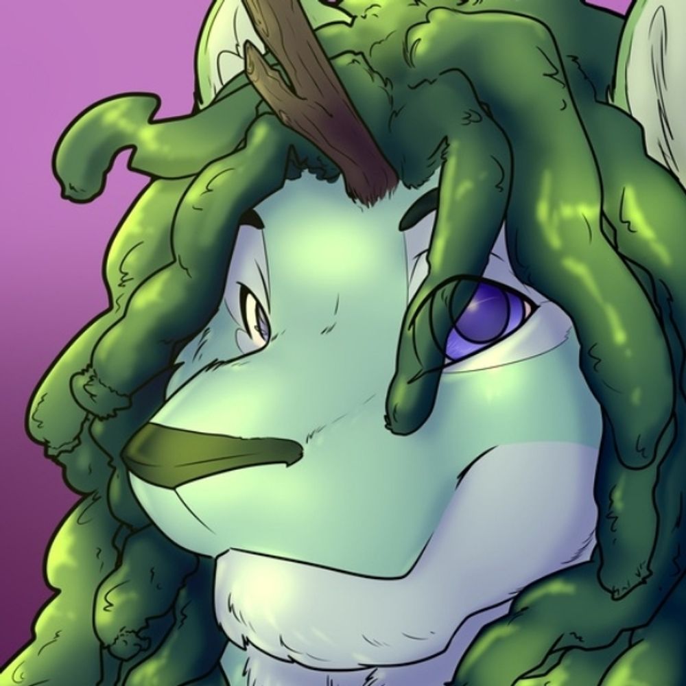 DriftingDragon