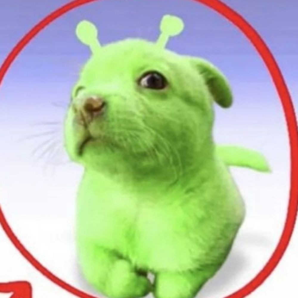 Jacinto.pinto.no.rego