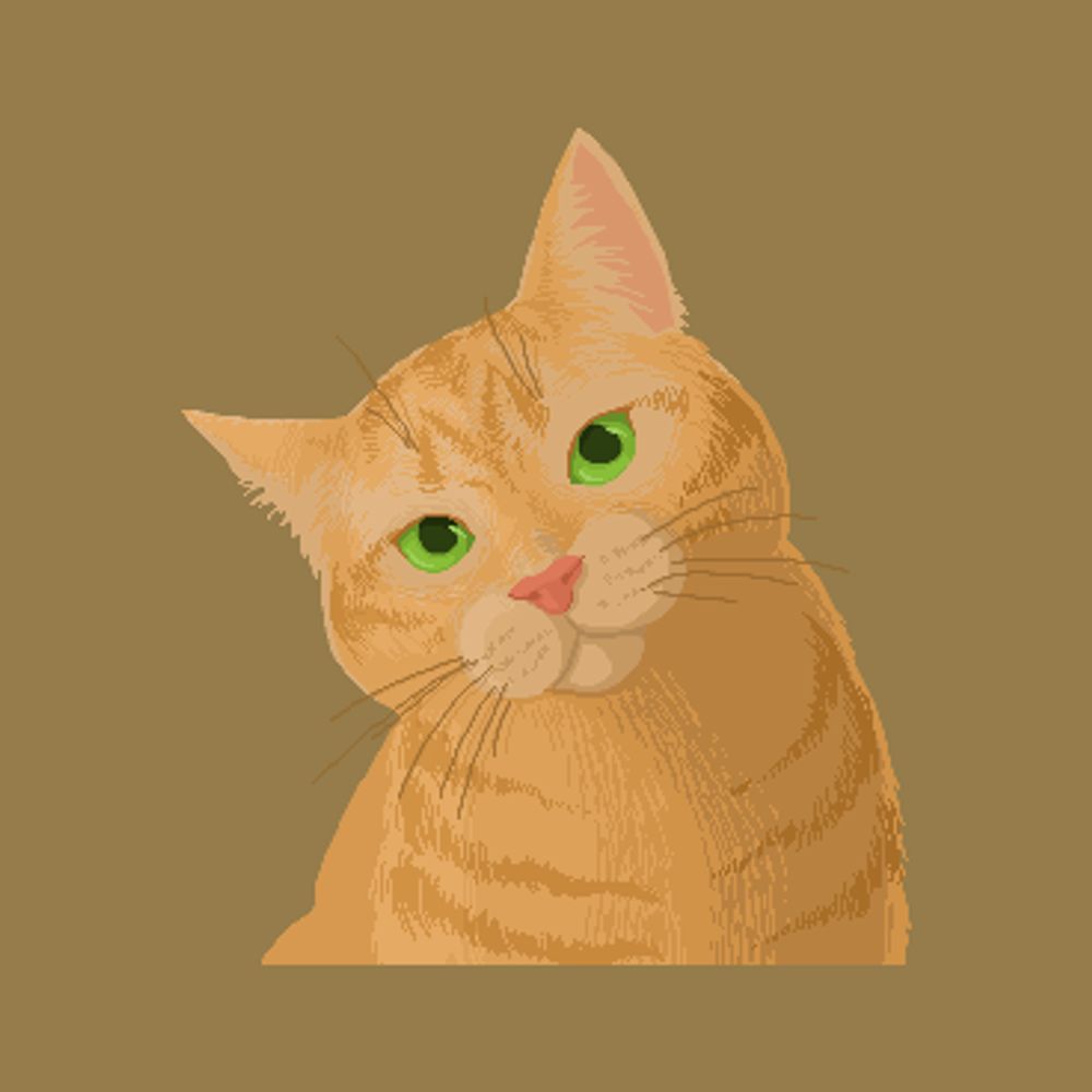 Orange Cat Studios