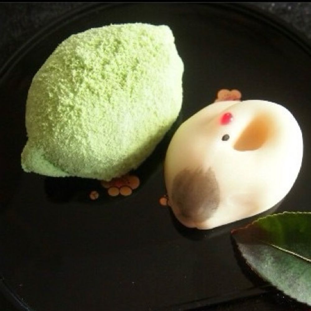 つくも堂🍵賽太