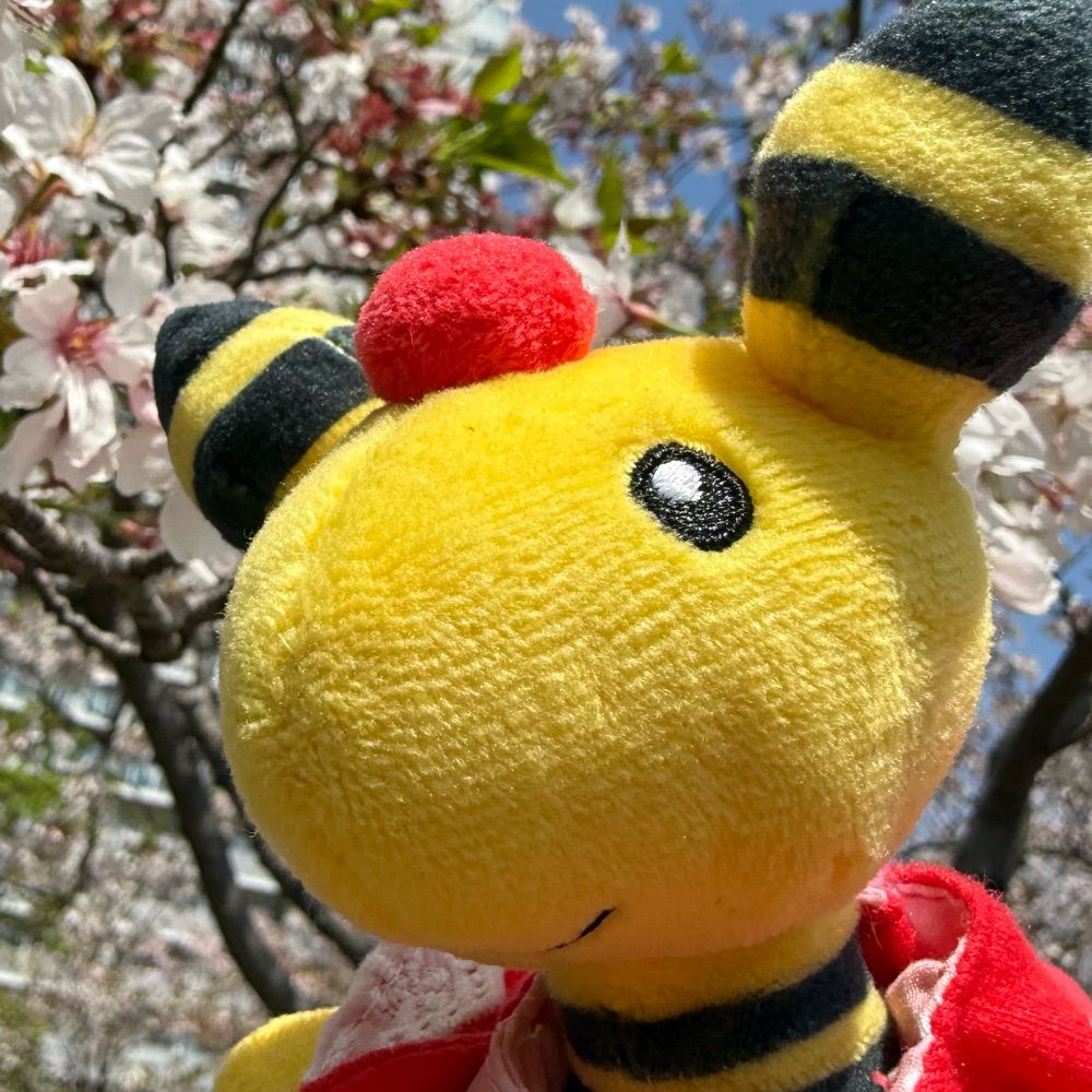 ぱるる