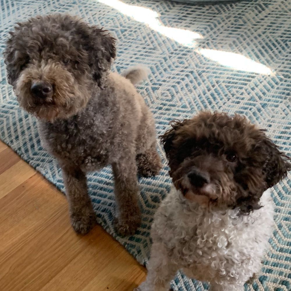 Two Kan Guru