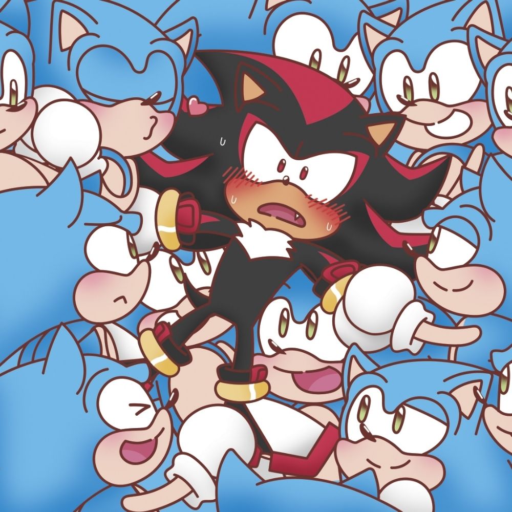 sonic.dreamin ✨