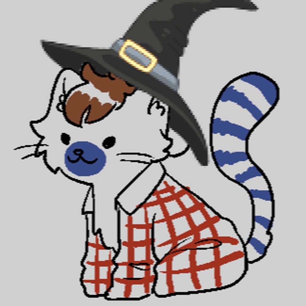 witchy hat 