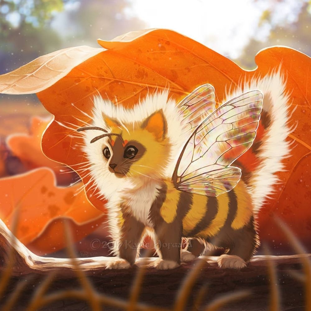 Kitten