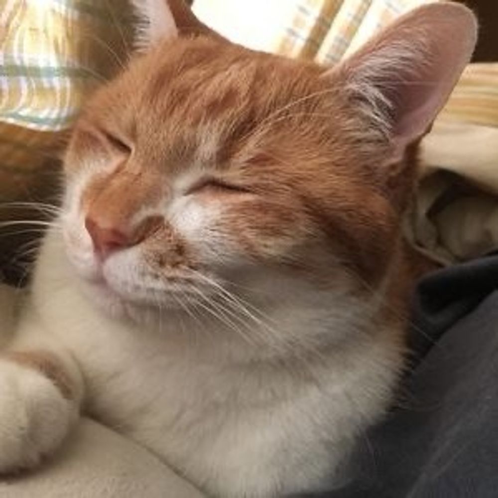 みかたん