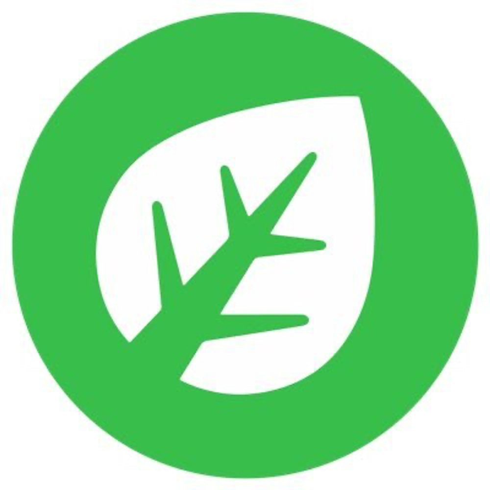 1nTheGrass