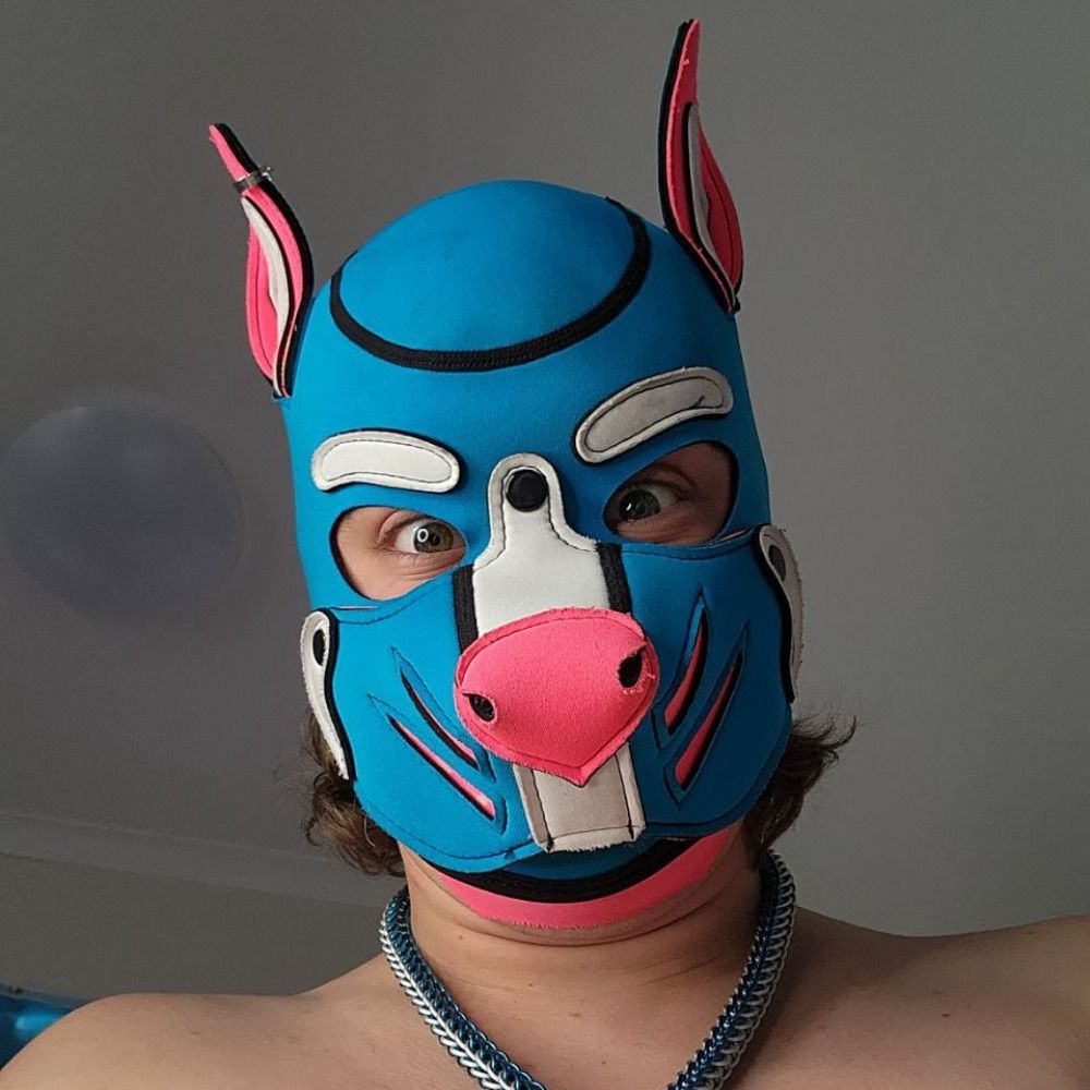 Pup Astro