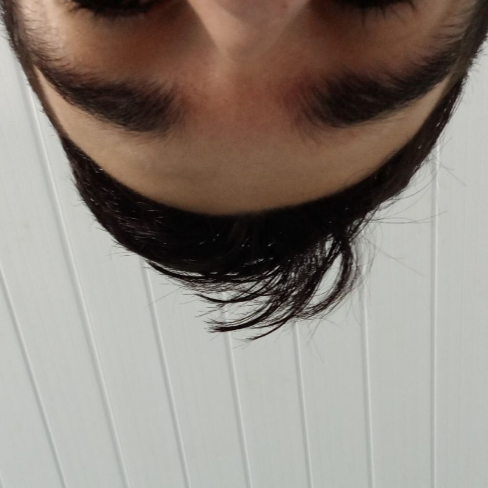 Paulooo