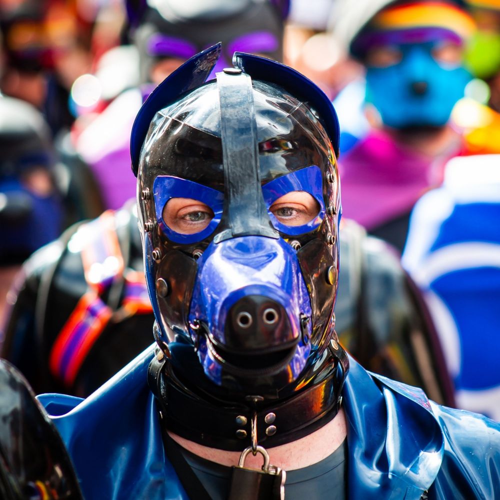Shiny Pup 🏳️‍🌈🇬🇧🐶