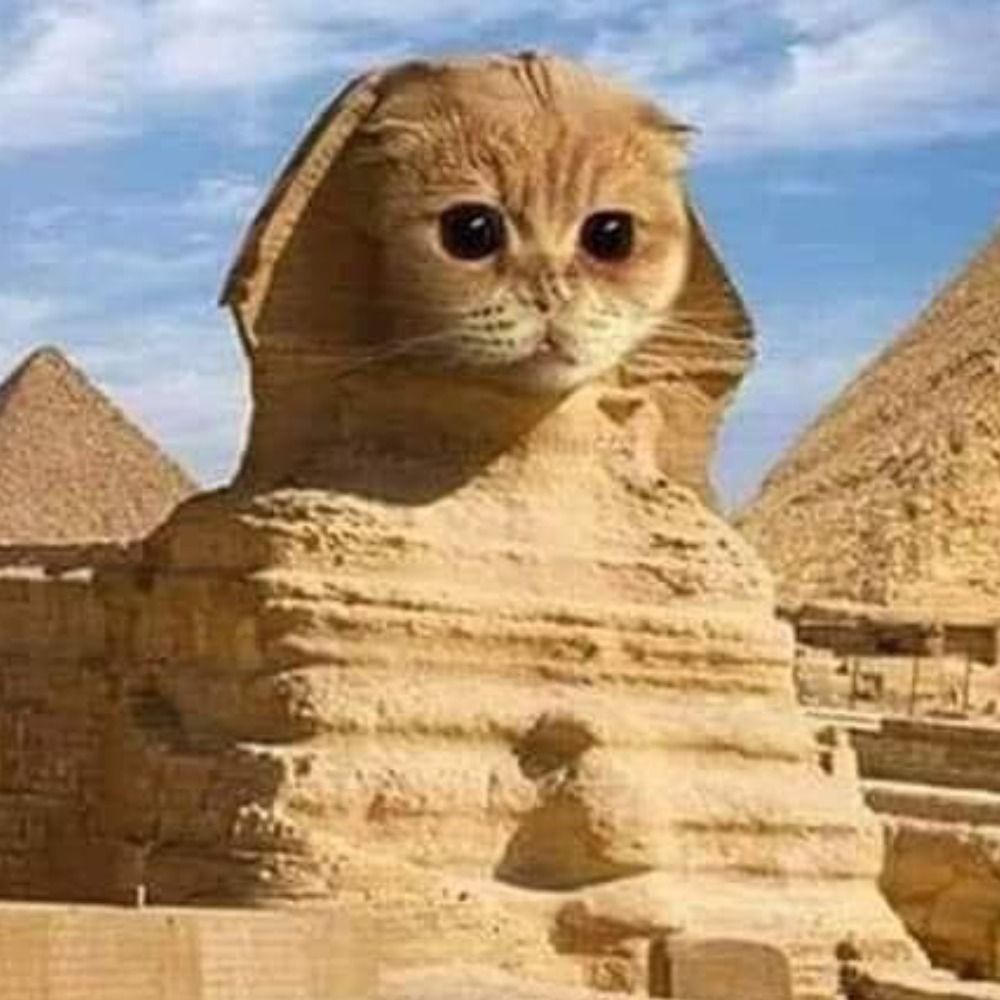 Pyrameow