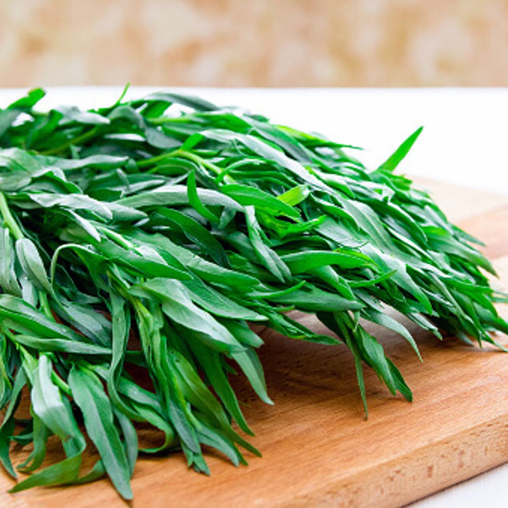 Tarragon, Incognito Tarragon