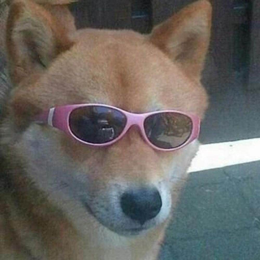 This is fine