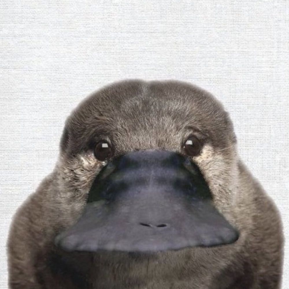 동짜