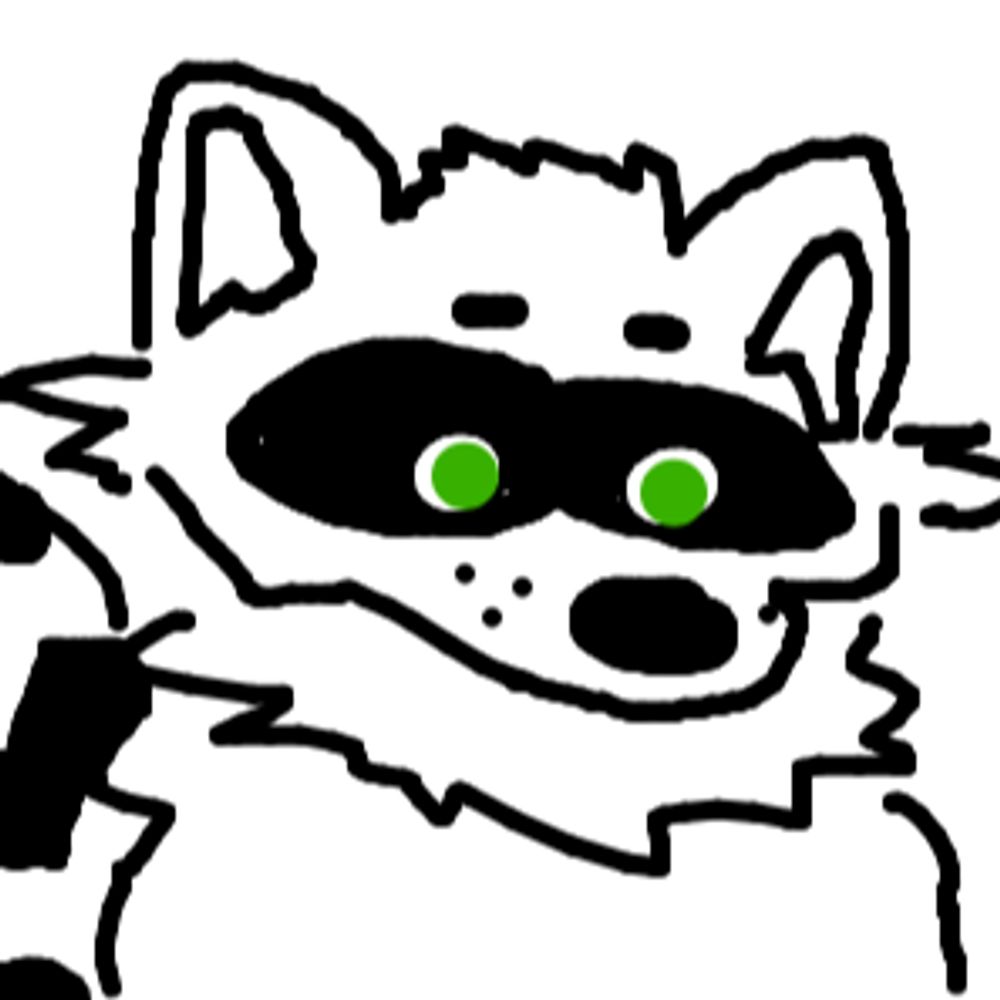 🦝