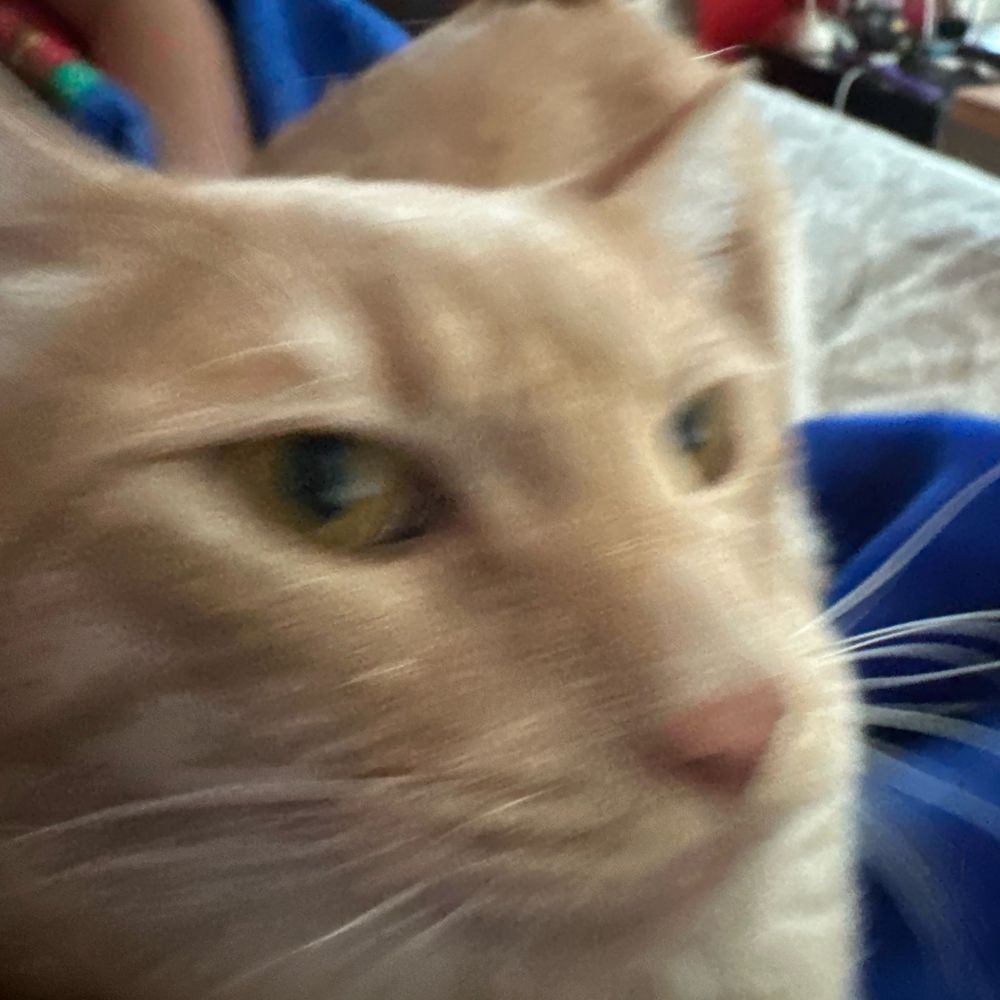 sAM
