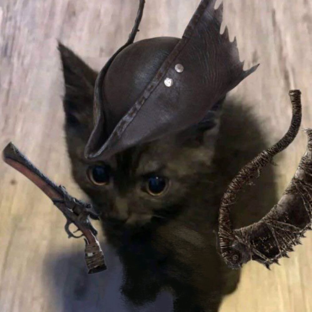 voidawoken