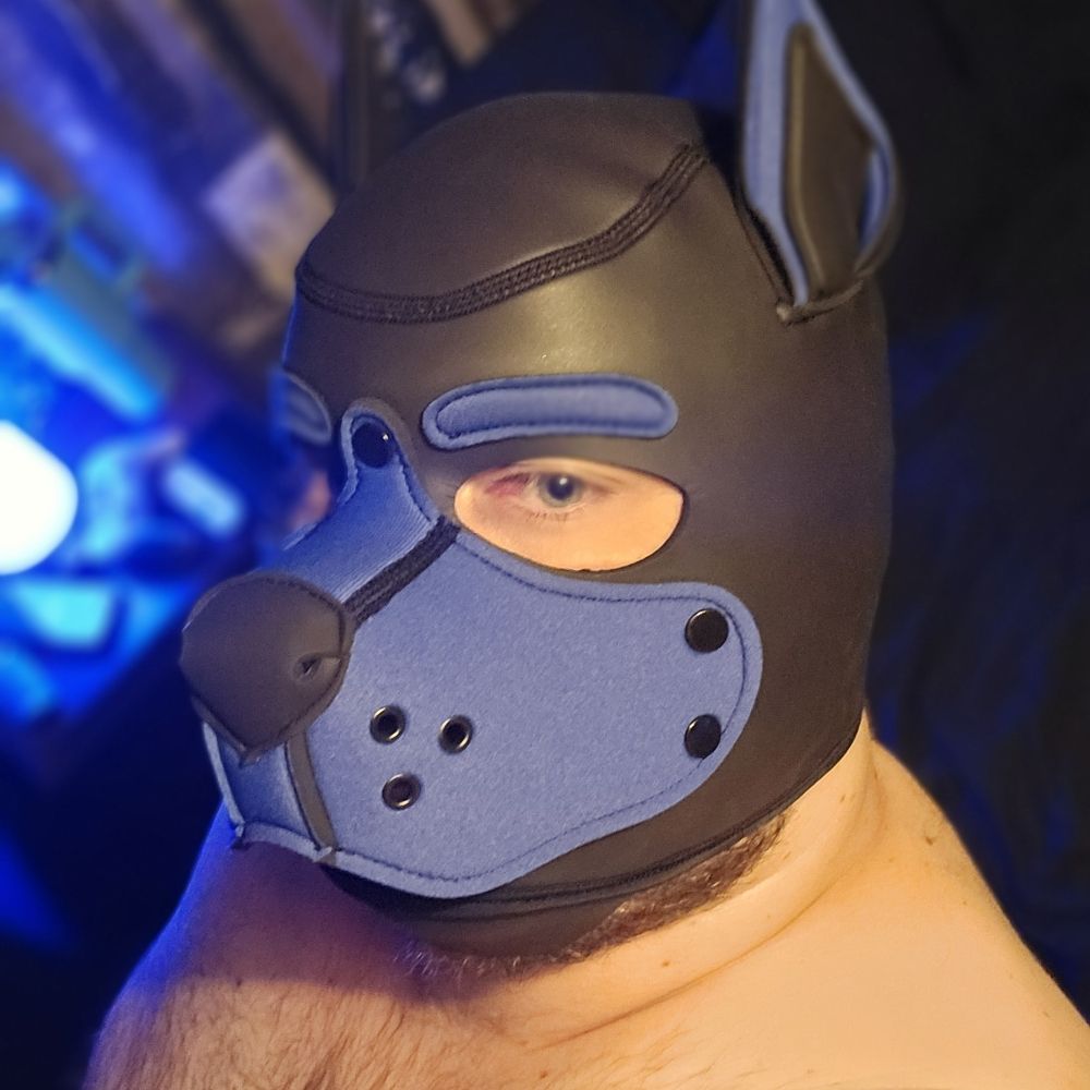 Pup Wazza
