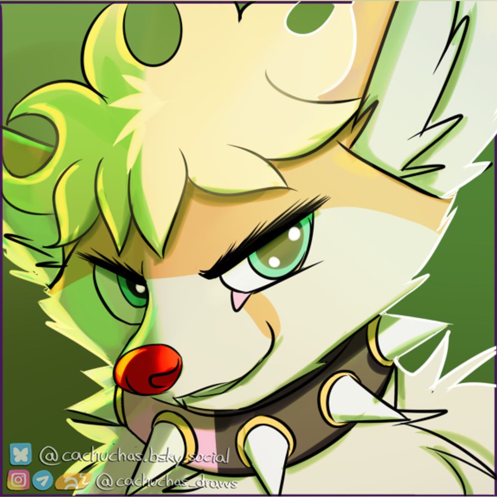 Cachuchas (commissions CLOSED)