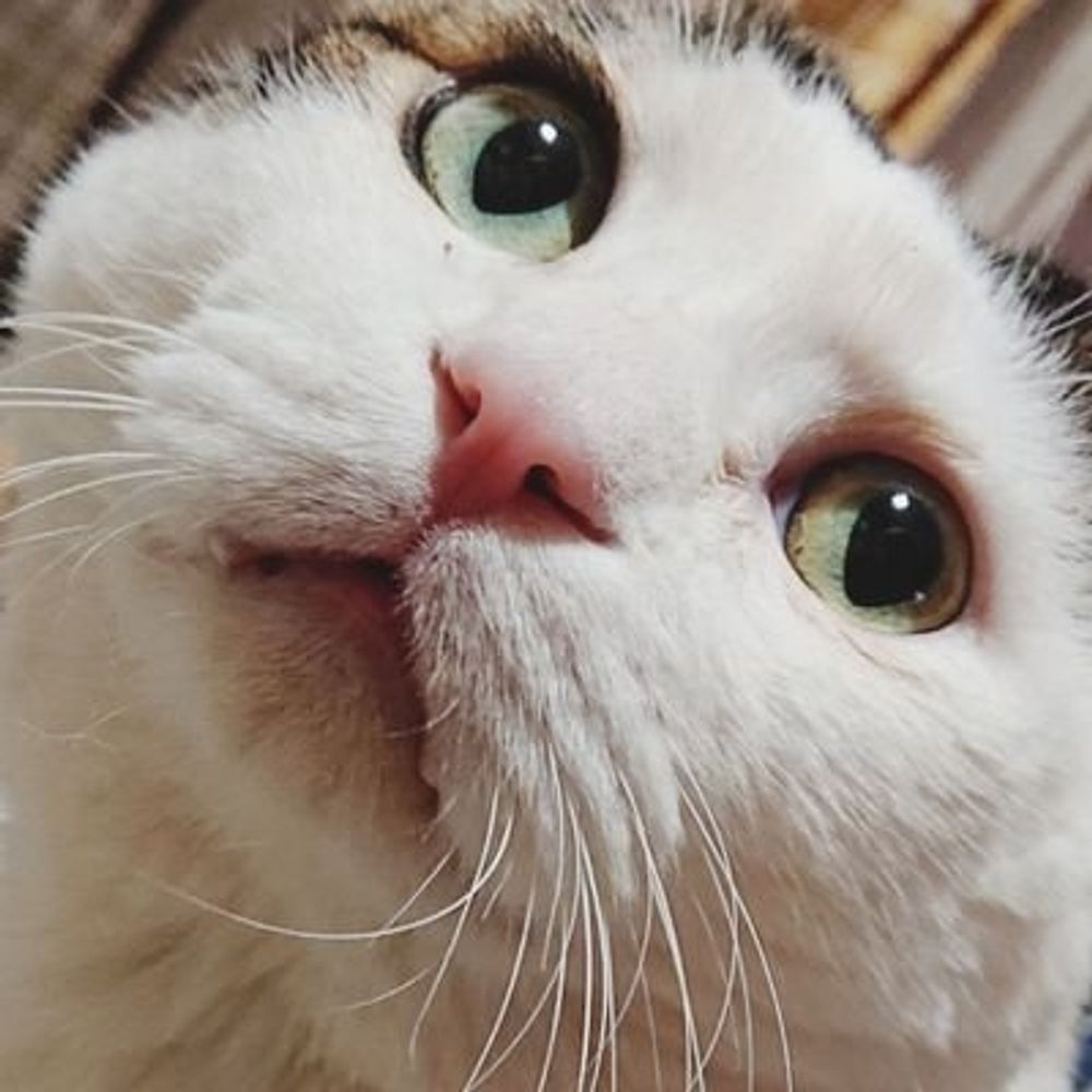 小太郎