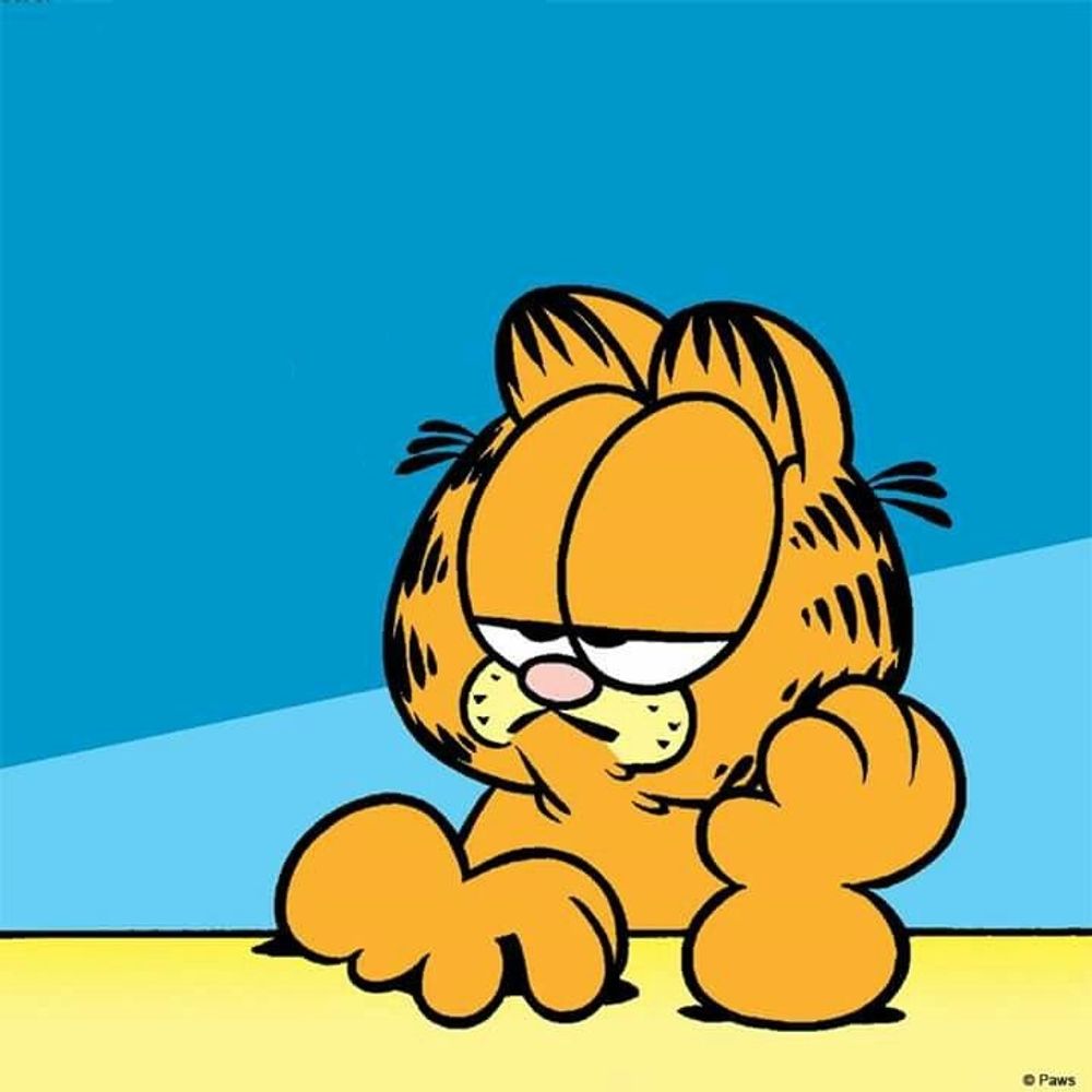 random garfield