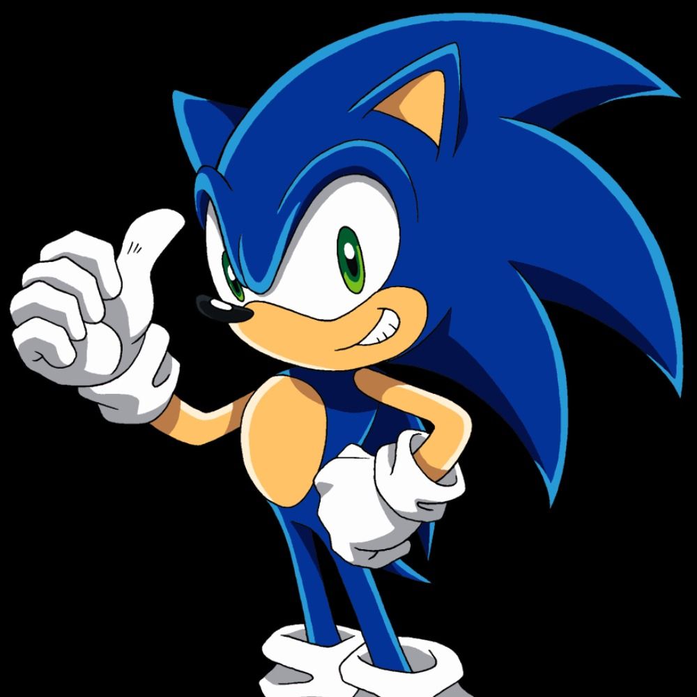 Fã de sonic