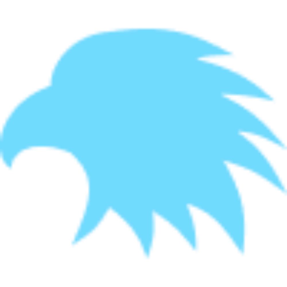 Sky Scout