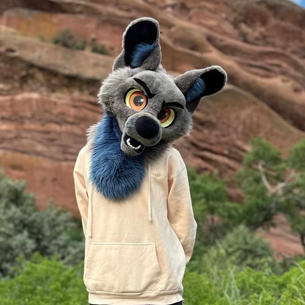 Aester wolf 