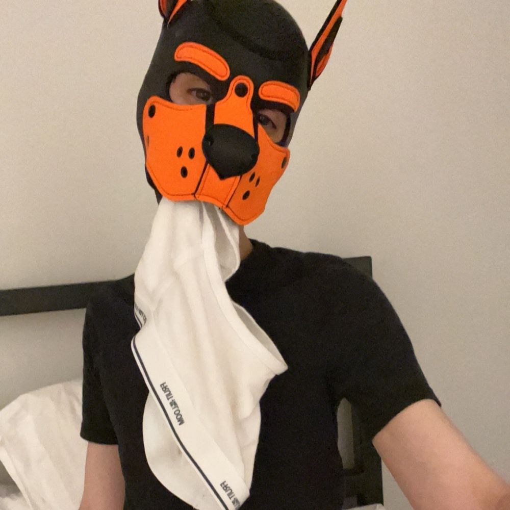 PupNux