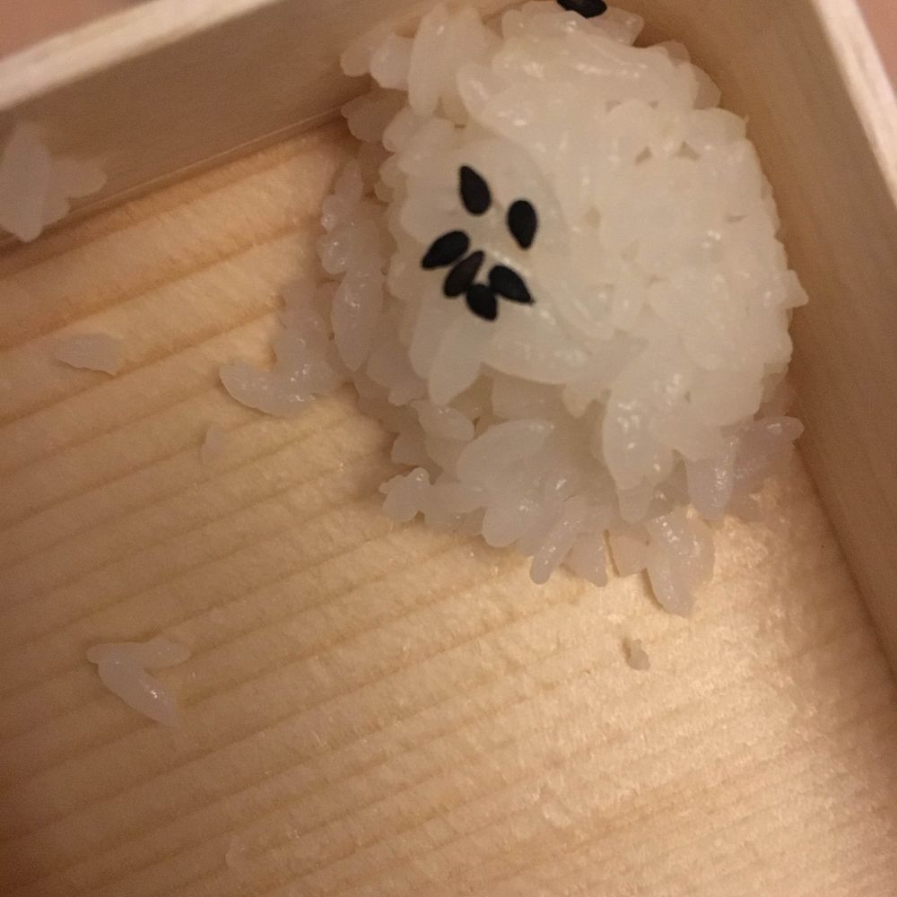 Riz(米のすがた)
