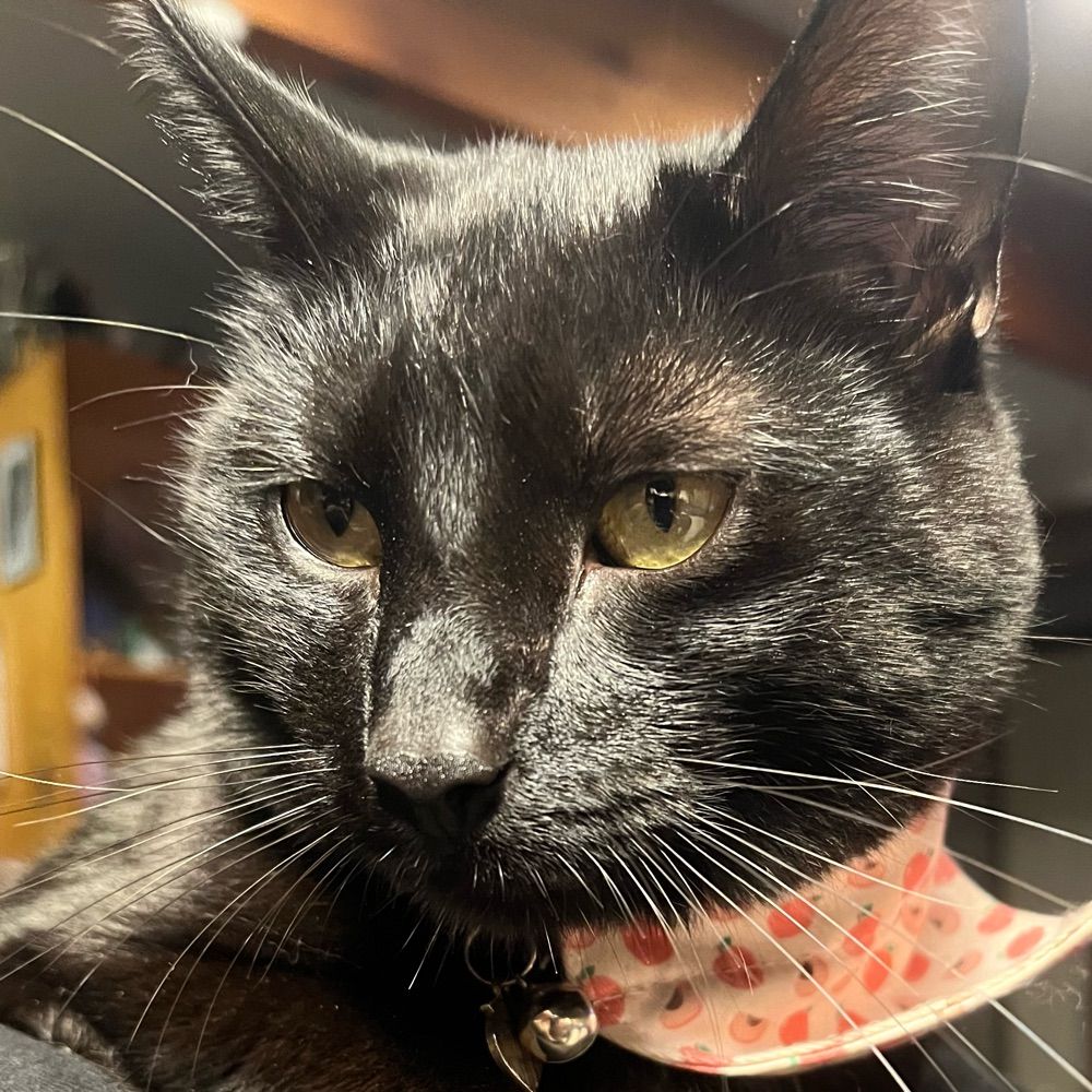 Sam