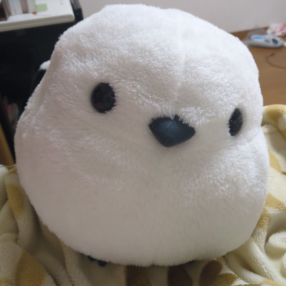 北さん