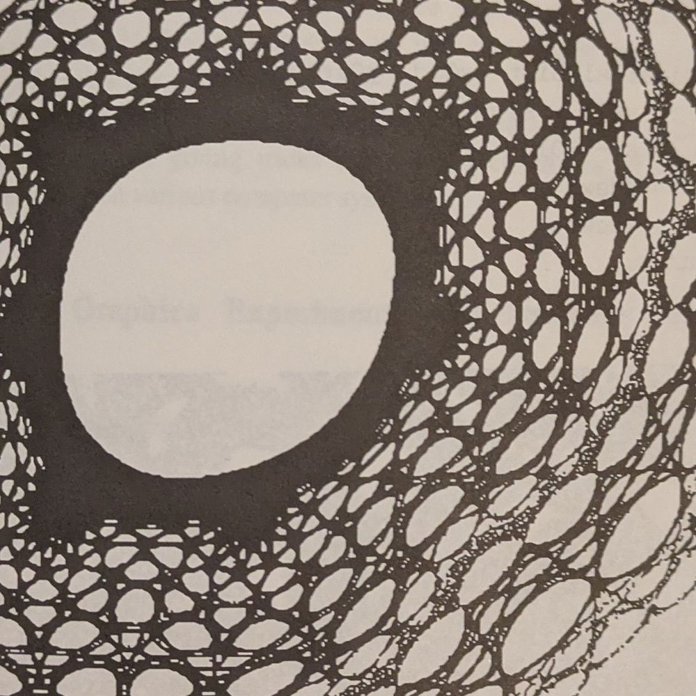 Cell Fractal Bot