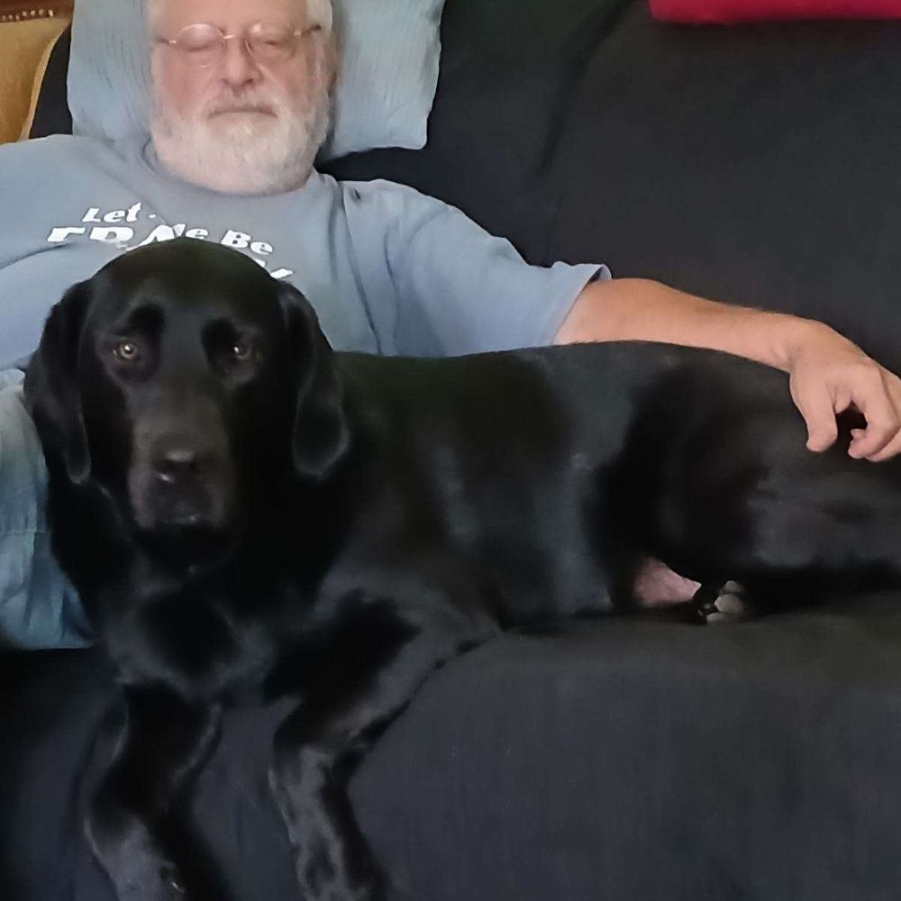 Frank &  Kicsi