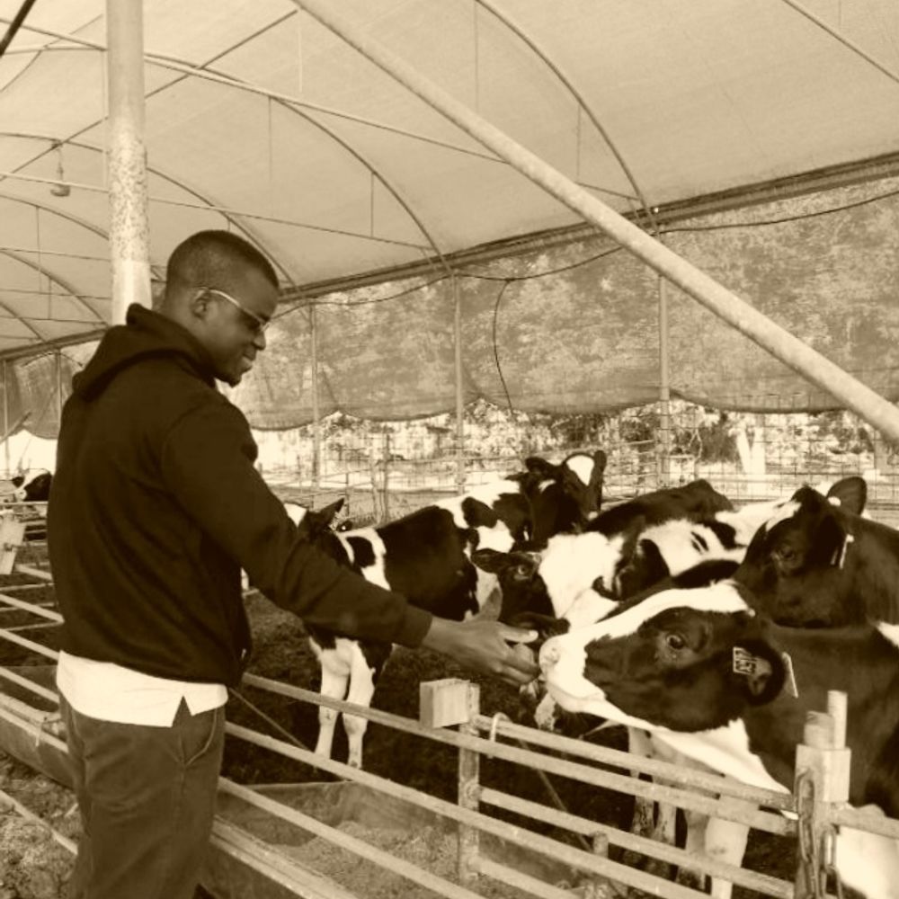 The Rancher